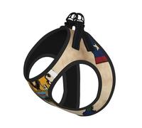 Ensemble harnais et laisse pour chat et petit chien avec motif drapeau du New Jersey Map03, réglable, réfléchissant et anti-fugue avec doublure en maille douce et respirante