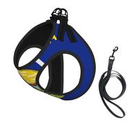 Ensemble harnais et laisse pour chat et petit chien, réglable, réfléchissant et anti-fugue avec doublure en maille douce et respirante