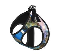 Ensemble harnais et laisse pour chat et petit chien, réglable, réfléchissant et anti-fugue avec doublure en maille douce et respirante