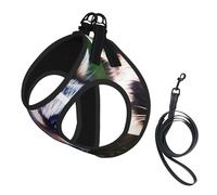 Ensemble harnais et laisse pour chat et petit chien, réglable, réfléchissant et anti-fugue avec doublure en maille douce et respirante