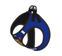 Ensemble harnais et laisse pour chat et petit chien, réglable, réfléchissant et anti-fugue avec doublure en maille douce et respirante