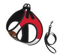 Ensemble harnais et laisse pour chat et petit chien, réglable, réfléchissant et anti-fugue avec doublure en maille douce et respirante