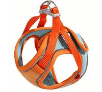 Ensemble Harnais et Laisse pour Chat, Gilet Anti-évasion réglable, Doux, Respirant et réfléchissant pour Chats de Petite et Moyenne Taille, Ensemble de Laisse pour Marcher en Plein air (Orange, L)