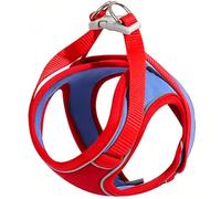 Ensemble Harnais et Laisse pour Chat, Gilet Anti-évasion réglable, Doux, Respirant et réfléchissant pour Chats de Petite et Moyenne Taille, Ensemble de Laisse pour Marcher en Plein air (Red, L)
