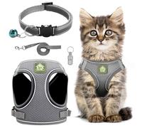 Ensemble harnais et laisse pour chat, gilet de promenade réglable à bande réfléchissante avec laisse et collier, gilet en maille souple anti-fugue pour chats de petite et moyenne taille