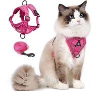 Ensemble Harnais et Laisse pour Chat, Gilet réglable Anti-évasion amélioré avec Laisse pour Chaton en Promenade en extérieur, Veste en Maille avec Bandes réfléchissantes pour la Nuit Noire (M, Rose)