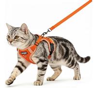 Ensemble harnais et laisse pour chat - Harnais anti-fugue avec laisse réglable, léger et doux - Avec bandes réfléchissantes - Maille respirante - Pour l'extérieur - Pour chaton (orange, M)