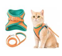 Ensemble Harnais et Laisse pour Chat,Harnais pour Chat,Harnais Chat Anti évasion,Harnais Anti,Fugue Confortable, Respirant et réglable pour Petit Chat et Chiot (Vert, L)