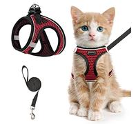 Ensemble harnais et laisse pour chat - Harnais réglable en maille souple réfléchissante pour l'extérieur - Ajustement confortable - Facile à contrôler (rouge, L)