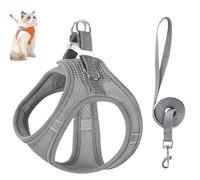 Ensemble Harnais Et Laisse pour Chat, Harnais RéGlable pour La Promenade Et Anti-Fuite, avec Bande RéFléChissante pour La Promenade des Chats Et Chiens (Gris, L)