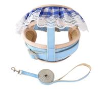 Ensemble Harnais et Laisse pour Chat, Laisse et Collier antiévasion pour Petits Animaux, contrôle Facile, Collier Multicolore et Ensemble Harnais en Dentelle pour Animaux de Compagnie pour Petits