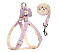 Ensemble Harnais et Laisse pour Chat, Mignon nœud Papillon pour Petit Chien, Chaton, Gilet d'extérieur, Corde de Plomb réglable pour la Marche des Animaux de Compagnie (Violet M)