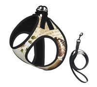 Ensemble harnais et laisse pour chats et chiens avec imprimé Tour Eiffel Paris, gilet en maille douce et respirante avec laisse anti-fuite, pour petits animaux de compagnie et chatons chiots