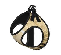 Ensemble harnais et laisse pour chats et chiens - Motif notes de musique sur vieux papier - Réfléchissant - Réglable - Doux et respirant - Avec laisse anti-fugue - Pour petits animaux de compagnie et