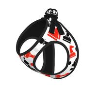 Ensemble harnais et laisse pour chats et chiens, réfléchissant, réglable, gilet en maille douce et respirante avec laisse anti-fuite, pour petits animaux de compagnie et chatons chiots