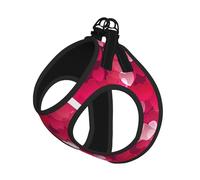 Ensemble harnais et laisse pour chats et chiens - Réfléchissant - Réglable - Maille respirante - Avec laisse anti-fugue - Pour petits animaux de compagnie et chatons chiots