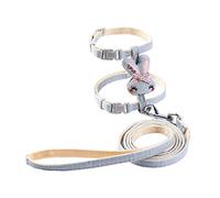 Ensemble Harnais et Laisse pour Chats, laisses et Collier Anti-Fuite pour Petits Animaux, contrôle Facile, Collier et Harnais pour Chat Multicolores et pour la Marche, Anti-Fuite pour Les Filles