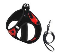 Ensemble Harnais et Laisse pour Chien à imprimé Coccinelle Rouge, Gilet réfléchissant Ajustable pour Chiens et Chats de Petite et Moyenne Taille.