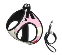 Ensemble Harnais et Laisse pour Chien à Motif Licorne, Gilet réfléchissant Ajustable pour Chiens et Chats de Petite et Moyenne Taille
