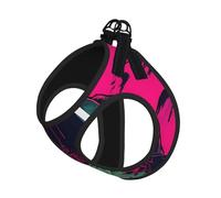 Ensemble Harnais et Laisse pour Chien à Motif tête de Mort de Zombie néon, Gilet réfléchissant Ajustable pour Chiens et Chats de Petite et Moyenne Taille