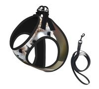 Ensemble Harnais et Laisse pour Chien avec imprimé Alpaga Mignon et étourdi, Gilet réfléchissant Ajustable pour Chiens et Chats de Petite et Moyenne Taille