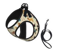 Ensemble harnais et laisse pour chien avec imprimé chien, réglable, respirant, doux, en maille avec bande réfléchissante
