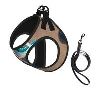 Ensemble harnais et laisse pour chien avec imprimé coquillages et étoile de mer sur la plage, gilet réfléchissant et réglable pour chiens de petite, moyenne et grande taille