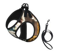 Ensemble harnais et laisse pour chien avec imprimé lama et alpaga, gilet réfléchissant réglable pour chiens de petite, moyenne et grande taille