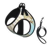 Ensemble harnais et laisse pour chien avec imprimé océan, mer, plage, coquillages, étoile de mer, bleu, petite taille