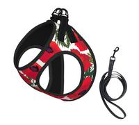 Ensemble harnais et laisse pour chien avec motif coquelicot et gilet réfléchissant réglable pour chiens de petite, moyenne et grande taille