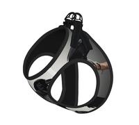 Ensemble harnais et laisse pour chien avec motif corbeau noir sur une branche, gilet respirant et réglable anti-fugue pour chats et chiens