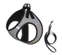 Ensemble harnais et laisse pour chien et chat avec code de programmation, harnais réfléchissant réglable pour petits chiens et chats