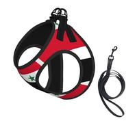 Ensemble harnais et laisse pour chien et chat avec drapeau de la République arabe syrienne, harnais réfléchissant réglable pour petits chiens et chats