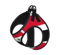 Ensemble harnais et laisse pour chien et chat avec drapeau de la République arabe syrienne, harnais réfléchissant réglable pour petits chiens et chats