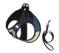 Ensemble harnais et laisse pour chien et chat avec imprimé astronaute sur la lune, harnais réfléchissant réglable pour petits chiens et chats