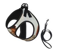 Ensemble harnais et laisse pour chien et chat avec imprimé cochon d'Inde, réfléchissant, réglable, anti-fuite, avec maille douce et respirante, pour petits animaux de compagnie et chatons chiots