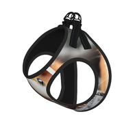 Ensemble harnais et laisse pour chien et chat avec imprimé cochon d'Inde, réfléchissant, réglable, anti-fuite, avec maille douce et respirante, pour petits animaux de compagnie et chatons chiots