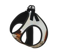 Ensemble harnais et laisse pour chien et chat avec imprimé cochon d'Inde, réfléchissant, réglable, anti-fuite, avec maille douce et respirante, pour petits animaux de compagnie et chatons chiots