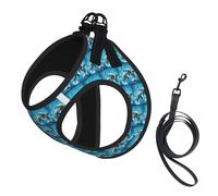 Ensemble harnais et laisse pour chien et chat avec imprimé dauphins amoureux - Harnais réfléchissant réglable pour petits chiens et chats