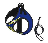 Ensemble harnais et laisse pour chien et chat avec imprimé drapeau de l'État de l'Oregon, harnais réfléchissant réglable pour petits chiens et chats