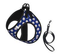 Ensemble harnais et laisse pour chien et chat avec imprimé drapeau de l'État de Virginie - Harnais réfléchissant réglable pour petits chiens et chats