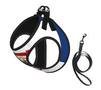 Ensemble harnais et laisse pour chien et chat avec imprimé drapeau de l'État de Virginie-Occidentale, harnais réfléchissant réglable pour petits chiens et chats