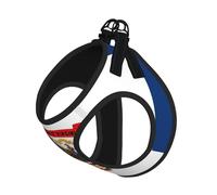 Ensemble harnais et laisse pour chien et chat avec imprimé drapeau de l'État de Virginie-Occidentale, harnais réfléchissant réglable pour petits chiens et chats