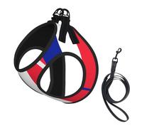 Ensemble harnais et laisse pour chien et chat avec imprimé drapeau français, harnais réfléchissant réglable pour petits chiens et chats