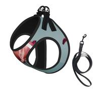 Ensemble harnais et laisse pour chien et chat avec imprimé floral réfléchissant pour chiens et chats de petite races