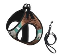 Ensemble harnais et laisse pour chien et chat avec imprimé lama alpaga, gilet réfléchissant et réglable pour chiens de petite, moyenne et grande taille