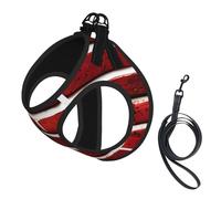 Ensemble harnais et laisse pour chien et chat avec imprimé pierre rouge brique, harnais réfléchissant réglable pour petits chiens et chats