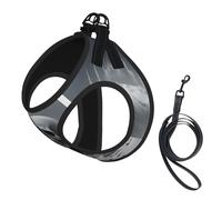 Ensemble harnais et laisse pour chien et chat avec imprimé tête de mort, harnais réfléchissant réglable pour petits chiens et chats Blanc