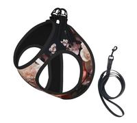Ensemble harnais et laisse pour chien et chat avec motif de belles fleurs, harnais réfléchissant réglable pour petits chiens et chats