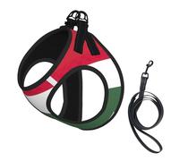 Ensemble harnais et laisse pour chien et chat avec motif drapeau de la Hongrie, harnais réfléchissant réglable pour petits chiens et chats